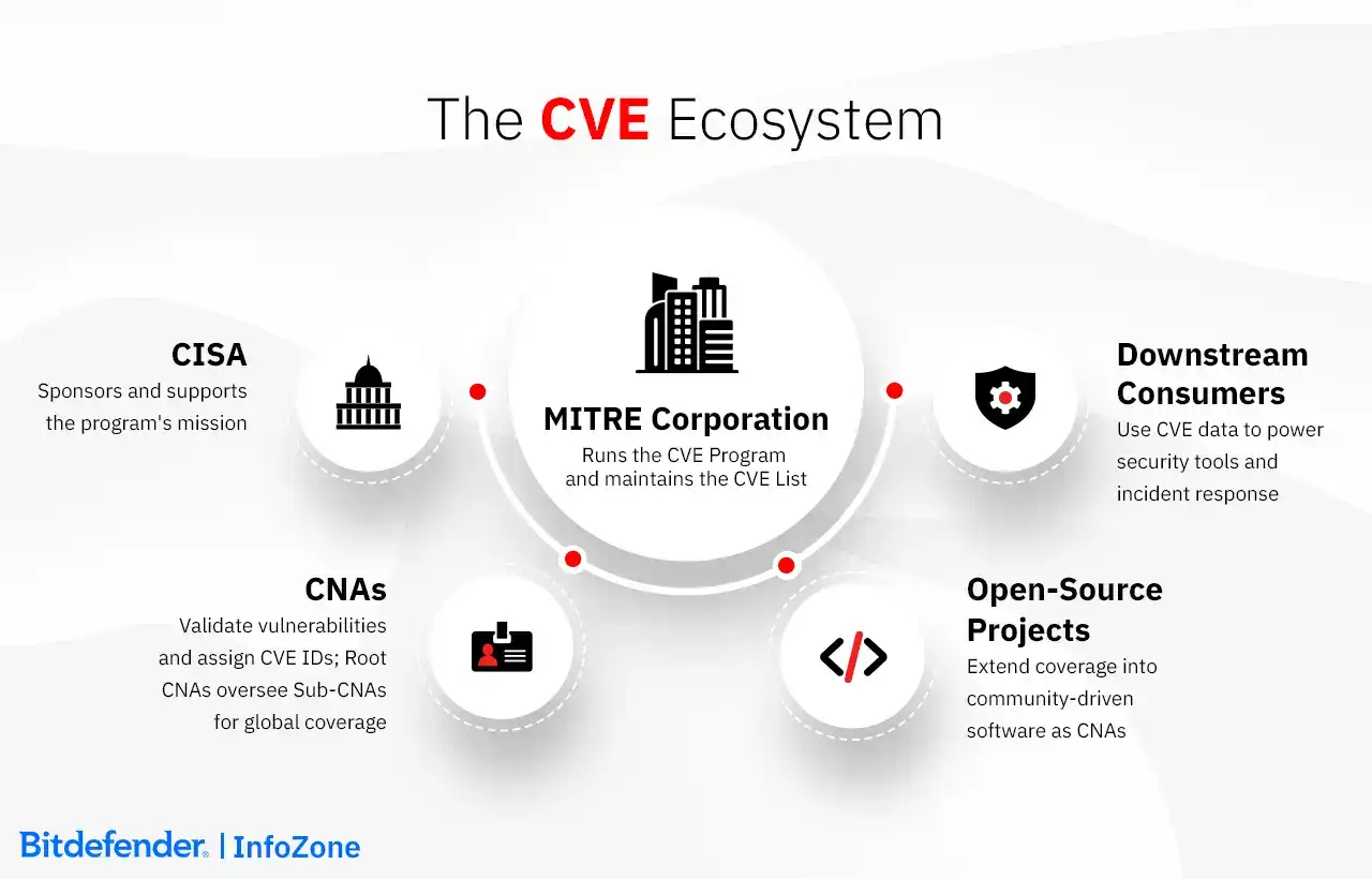 The CVE Ecosystem