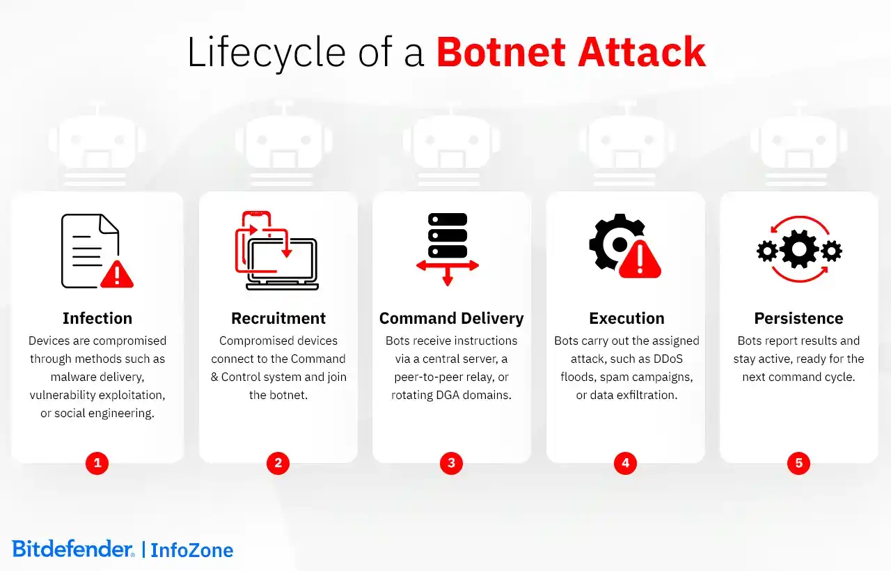 Lifecycle of a Botnet Attack