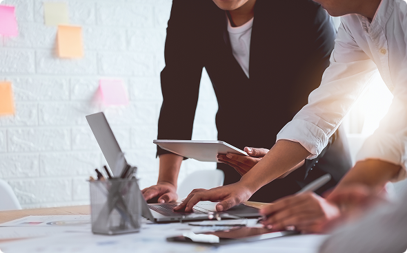 Executive Sponsorship Program