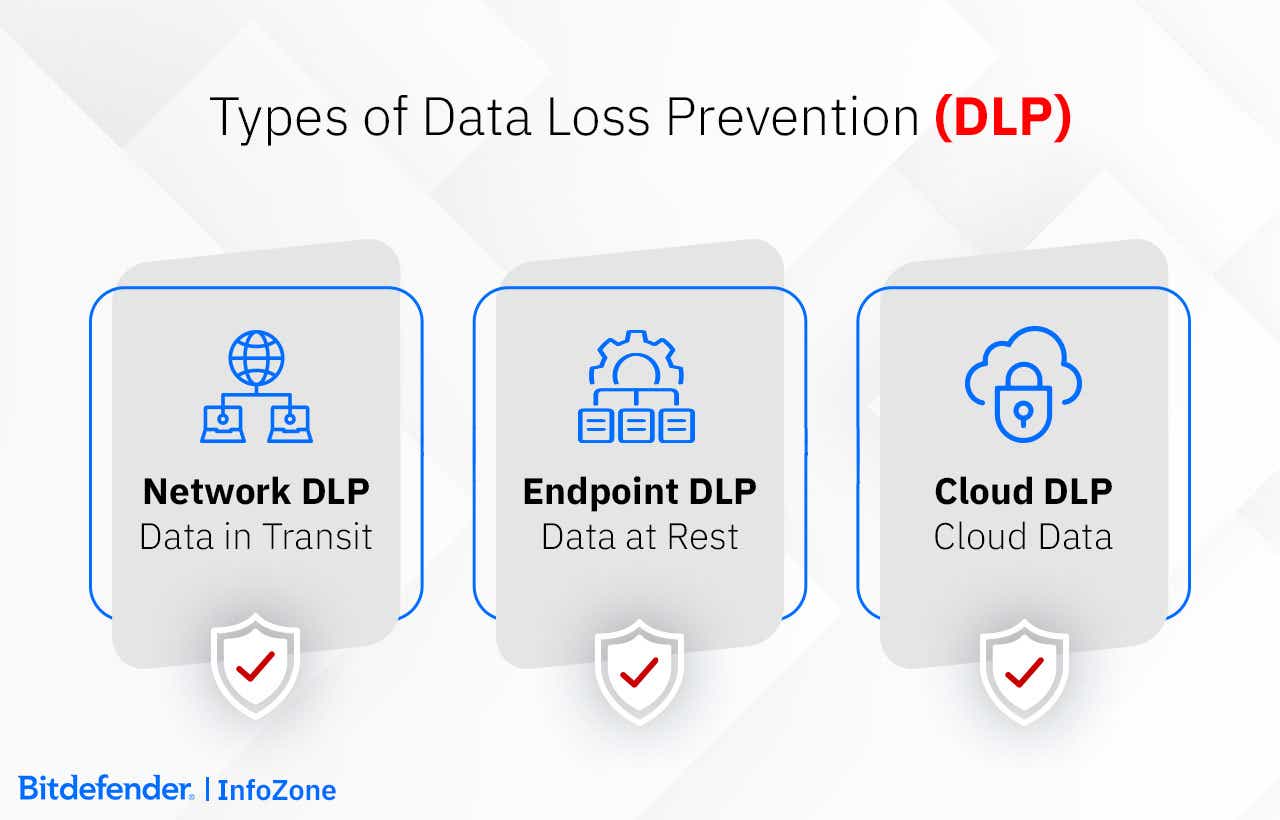 The 3 Types of DLP solutions: Network DLP; Endpoint DLP; Cloud DLP