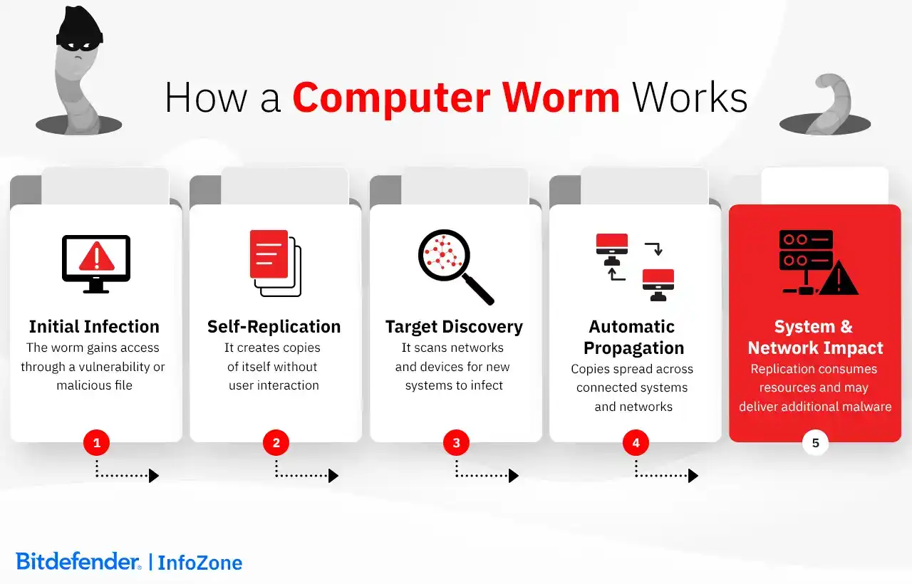 How a Computer Worm Works
