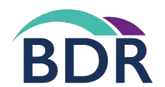 BDR Group - Review logo