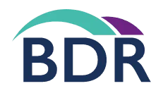 BDR Group - Review logo