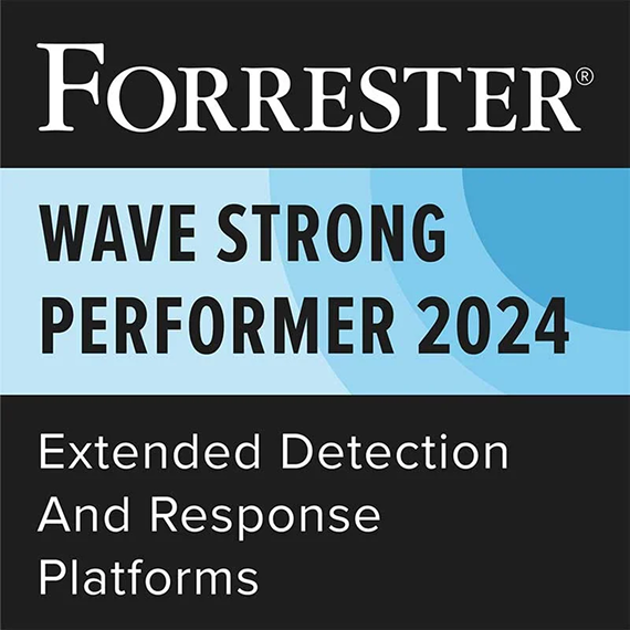 Forrester Wave Stronge Performer 2024