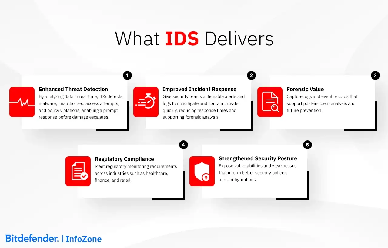 What IDS Delivers