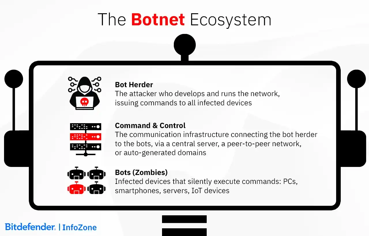 The Botnet Ecosystem
