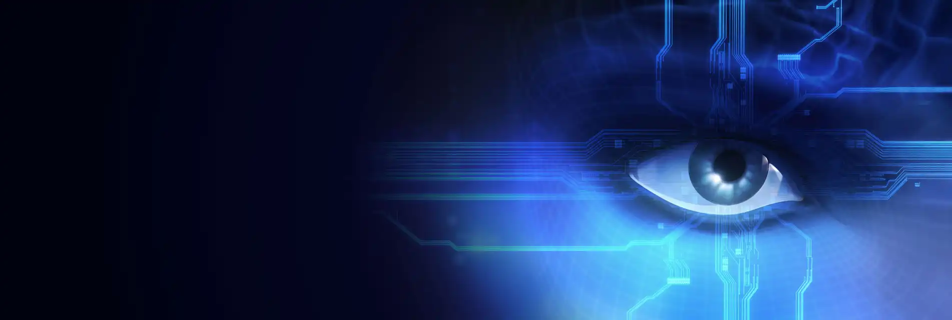Cyber Espionage