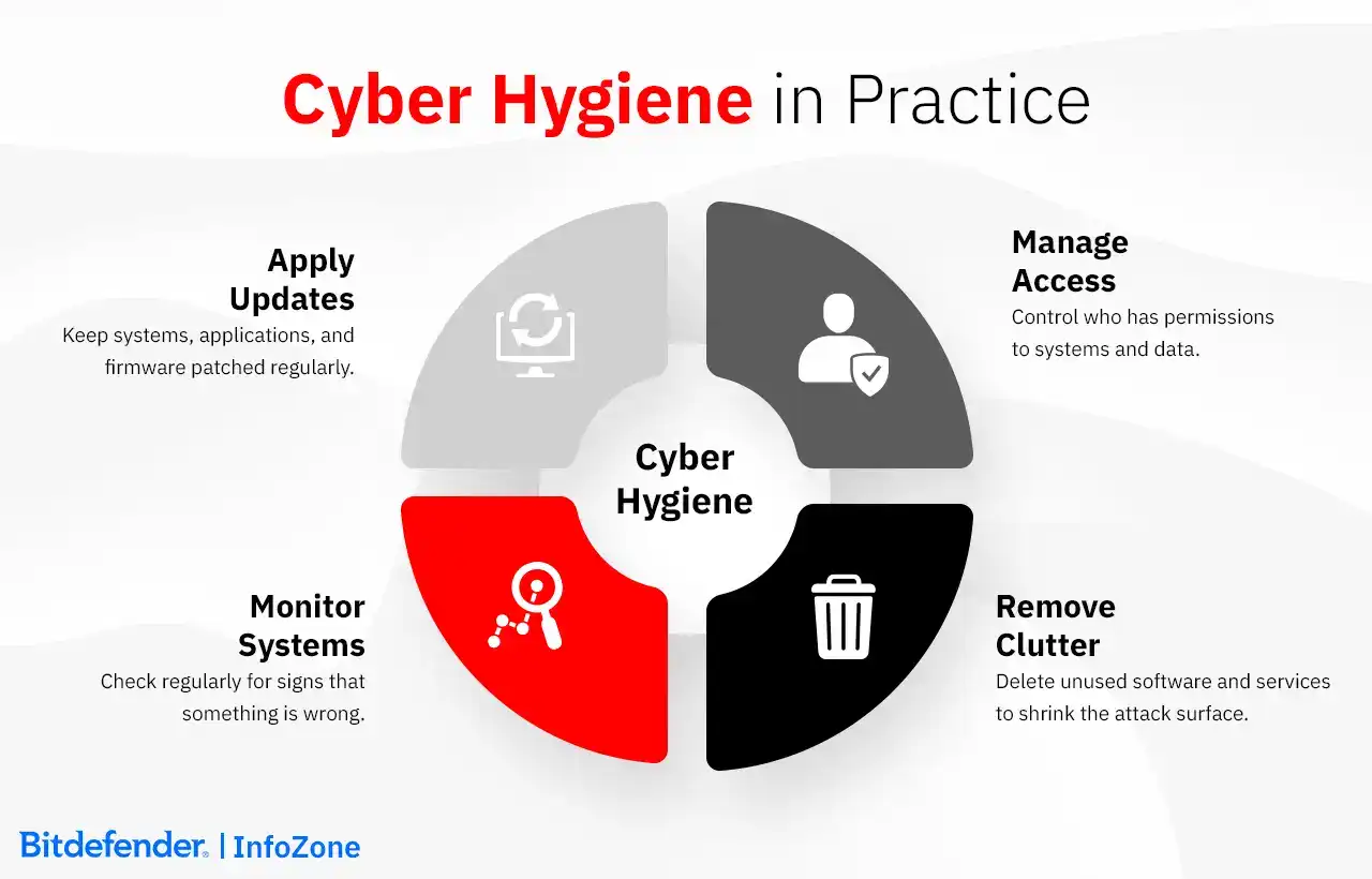 Cyber Hygiene in Practice