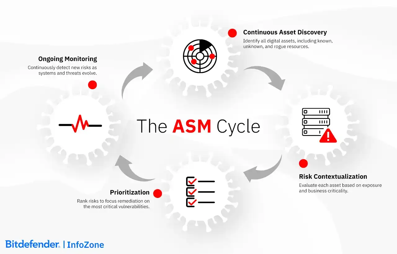 The ASM Cycle