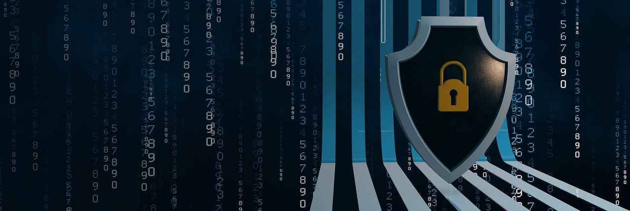 Vulnerability Management