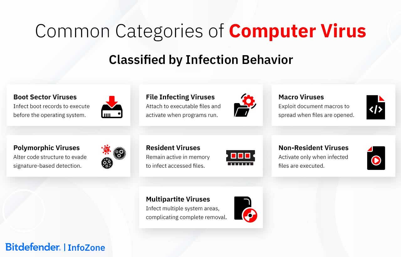 Computer Virus File Less Malware What is a Computer Virus - Bitdefender InfoZone
