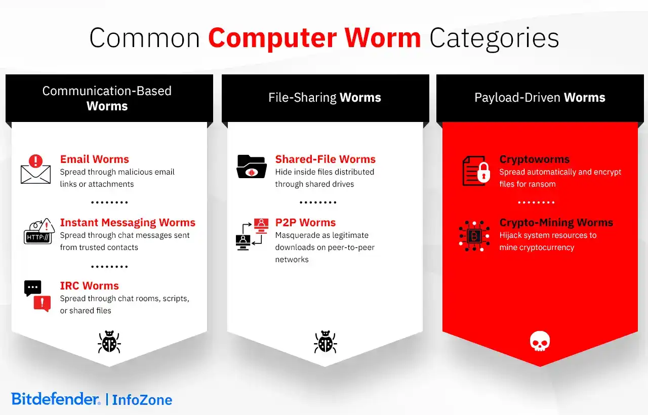 Common Computer Worm Categories