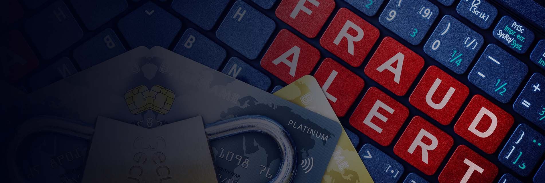 Cyber Fraud Explained