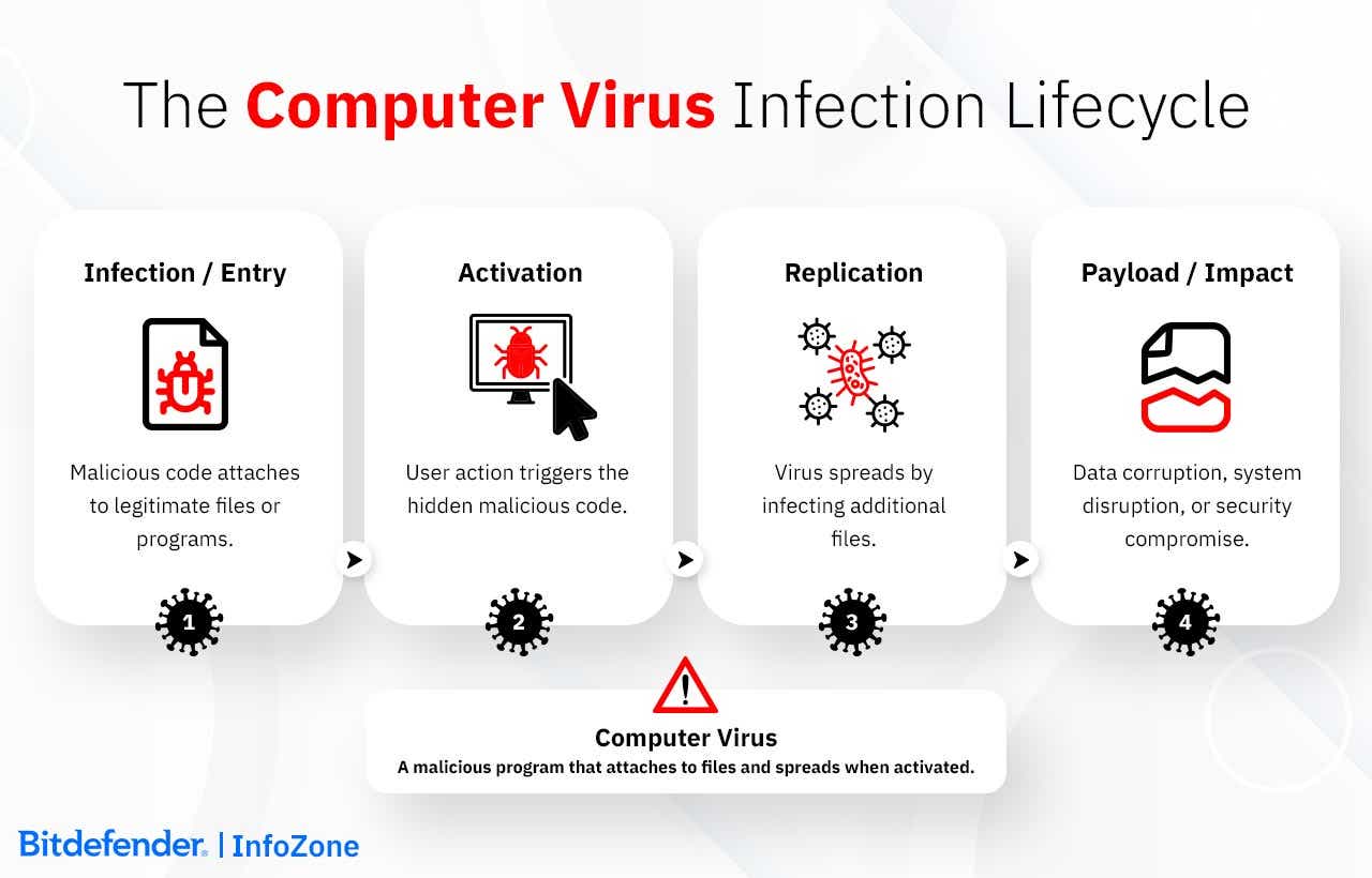 Computer Virus Infection Lifecycle