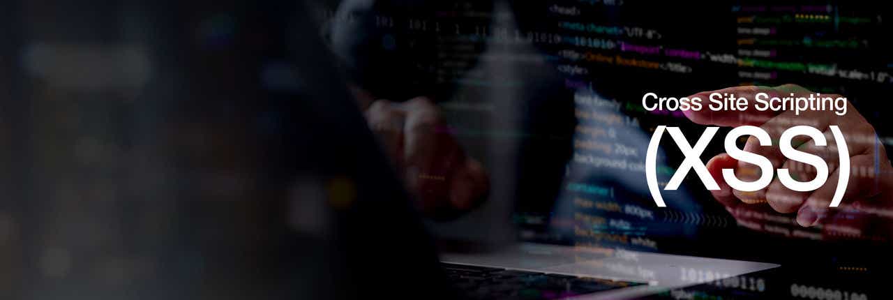 Cross Site Scripting (XSS)