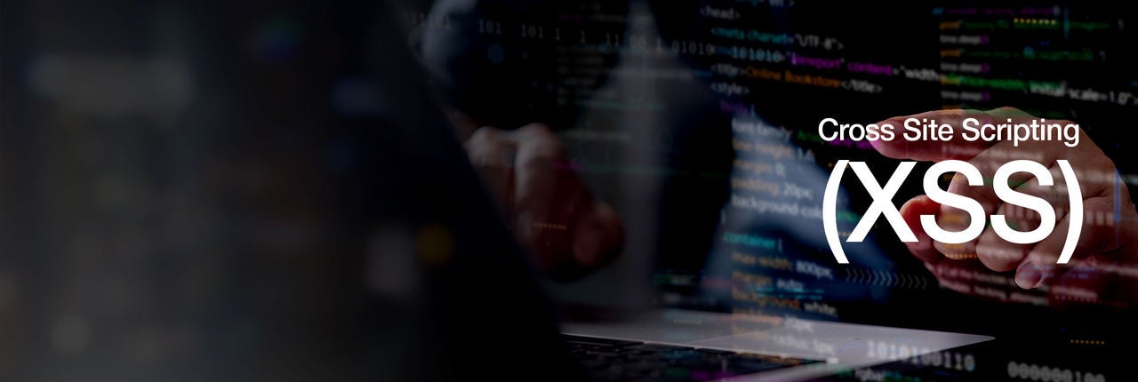 Cross Site Scripting (XSS)
