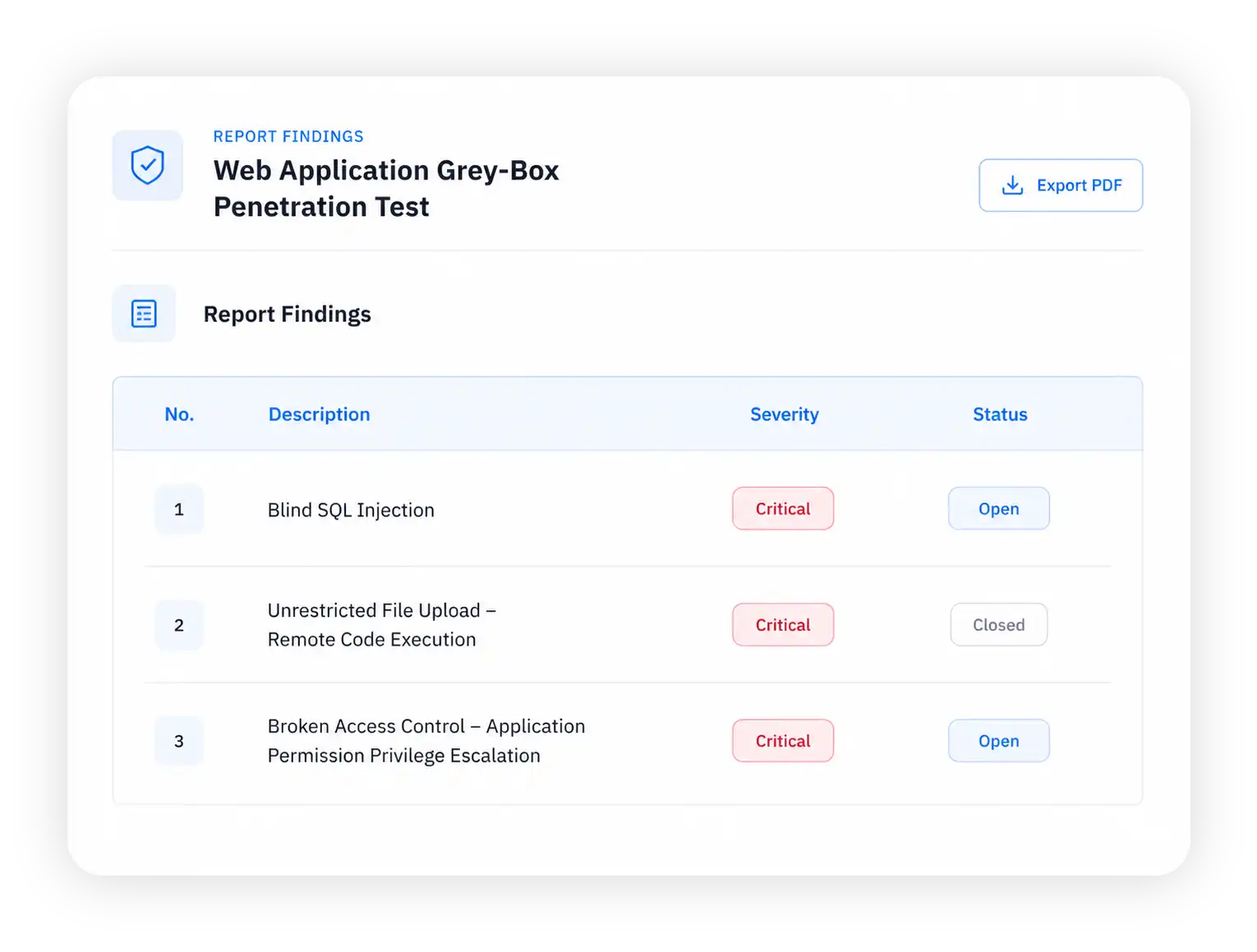 Web Application Gray-Box Penetration Test interface