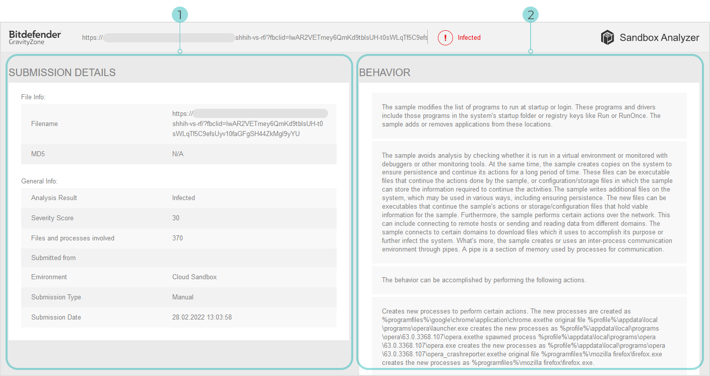sandbox_analyzer_html_report_96892_en.png