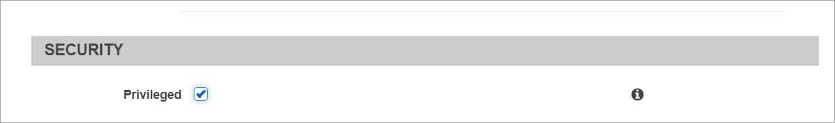 container_deployment_AWS_ECS_checkbox_priviledged_252685_en.png