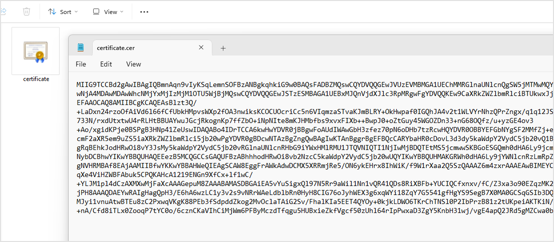 gz_sso_idp_proxy_certificate_saved_1573149_en.png