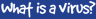 What is a virus?
