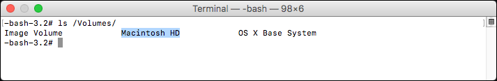 Using the ls /Volumes/ command