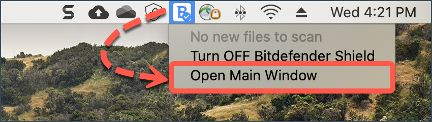 Open Main Window