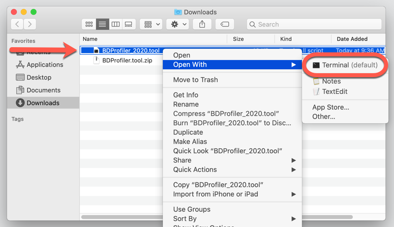 Opening BDProfiler