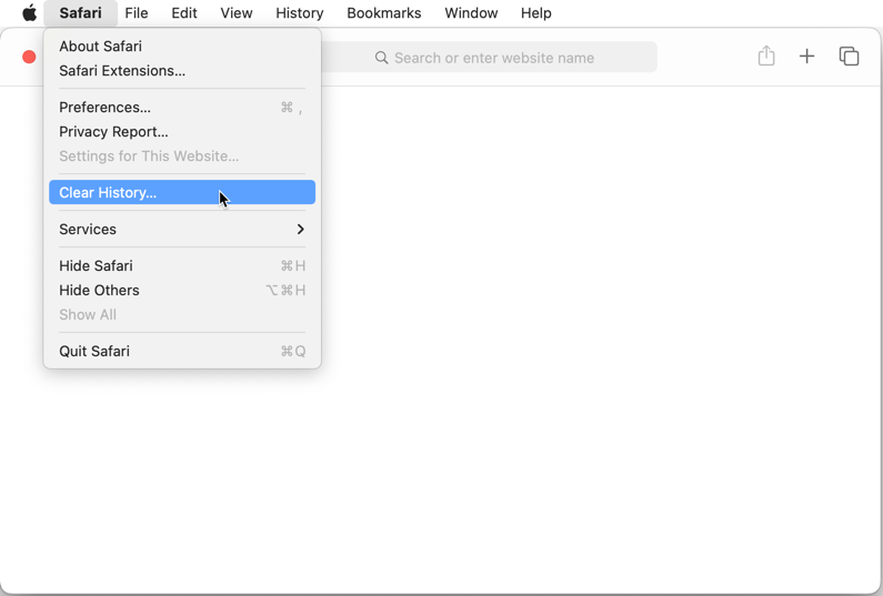 safari clear cache but not history