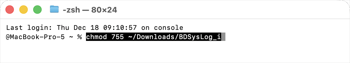 chmod 755 ~/Downloads/BDSysLog_i