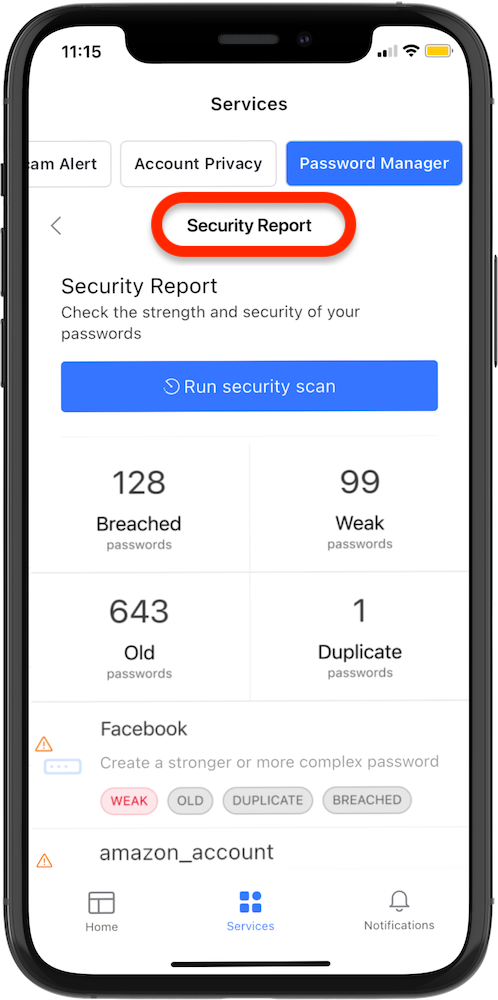 How to check the strength of stored passwords in NETGEAR Armor using the security report