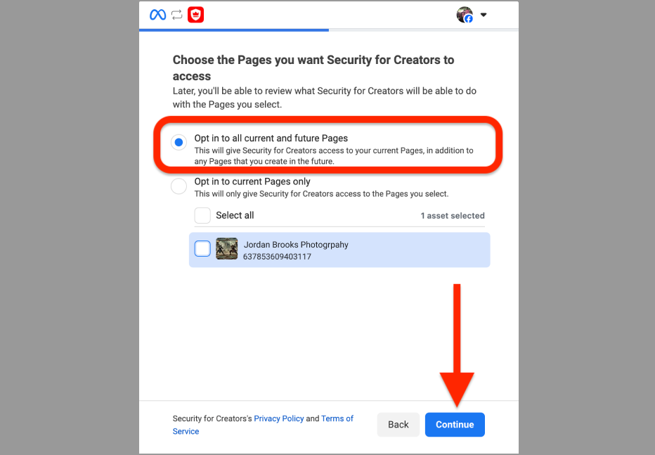 Opt in to all current and future Pages