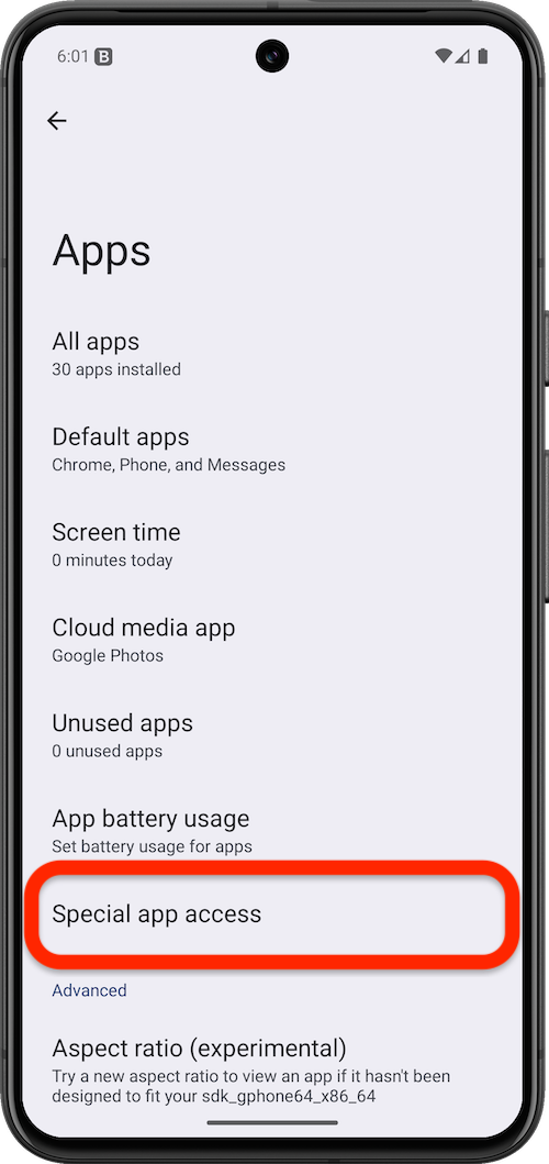 Special app access
