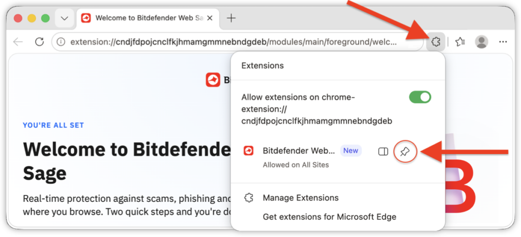 Pin to toolbar